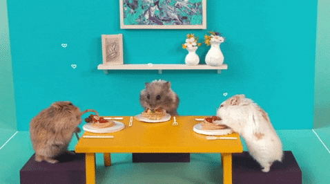 hamsters at a small table